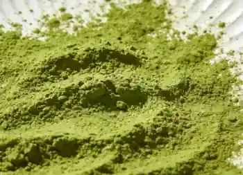 100 pure matcha powder 100 pure matcha powder