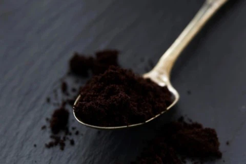 Blackcurrant Powder Blackcurrant Powder